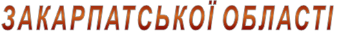 �����������ί �����Ҳ